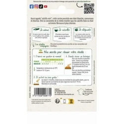 Scorsonère Géante Noire de RUSSIE - VILMORIN