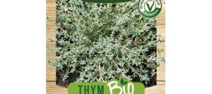 Thym De PROVENCE BIO - VILMORIN