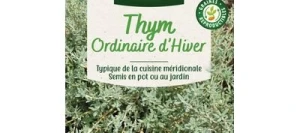 Thym Ordinaire - VILMORIN