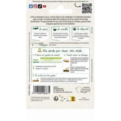 Thym Ordinaire - VILMORIN