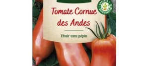 Tomate Cornue des Andes - VILMORIN
