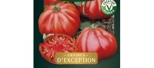 Tomate Côtelée CORAZON HF1 - VILMORIN