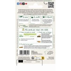 Tomate Côtelée CORAZON HF1 - VILMORIN