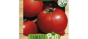 Tomate MATINA BIO - VILMORIN