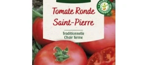 Tomate SAINT PIERRE - VILMORIN