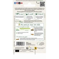 Tomate SAINT PIERRE - VILMORIN