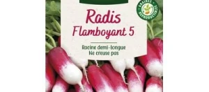 Radis FLAMBOYANT 5 - VILMORIN