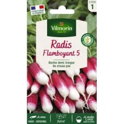 Radis FLAMBOYANT 5 - VILMORIN