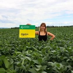 Soja ALGEBRA 00 non traité