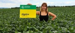 Soja ALGEBRA 00 AB non traité