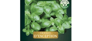 Basilic GENOVESE LOKI - VILMORIN