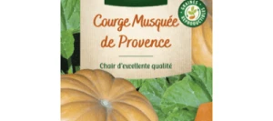 Courge Musquée de Provence - VILMORIN