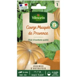 Courge Musquée de Provence - VILMORIN