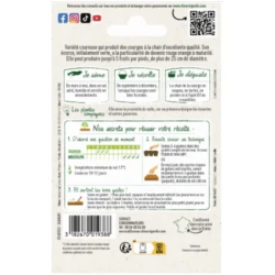 Courge Musquée de Provence - VILMORIN