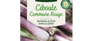 Ciboule Commune Rouge - VILMORIN