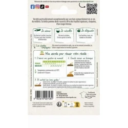 Laitue PICHOLINE - VILMORIN