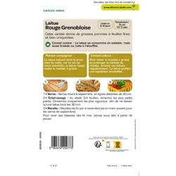 Laitue Batavia ROUGE GRENOBLOISE - VILMORIN