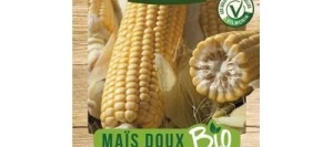 Maïs doux Golden Bantam BIO - VILMORIN