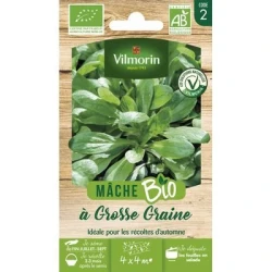 Mâche à Grosse Graine BIO - VILMORIN