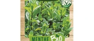 Menthe Poivrée BIO - VILMORIN