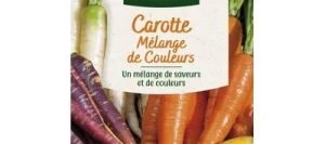 Carotte Mélange de couleurs - VILMORIN