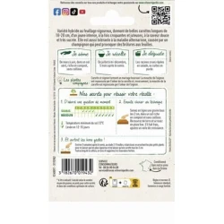 Carotte GOLDNUGGET HF1 - VILMORIN