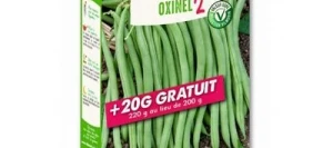 Haricot vert sans fil OXINEL 2 - VILMORIN