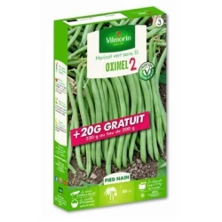 Haricot vert sans fil OXINEL 2 - VILMORIN