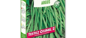 Haricot vert sans fil ARGUS - VILMORIN