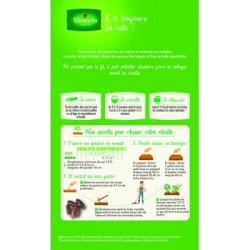 Haricot vert sans fil ARGUS - VILMORIN