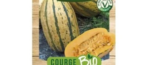 Courge DELICATA BIO - VILMORIN