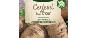 Cerfeuil Tubéreux - VILMORIN