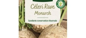 Céleri Rave MONARCH - VILMORIN