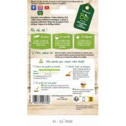 Ail des Ours BIO - VILMORIN