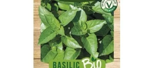 Basilic MARSEILLAIS BIO - VILMORIN