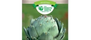 Artichaut VERT GLOBE - LES DOIGTS VERTS