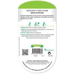 Artichaut VERT GLOBE - LES DOIGTS VERTS