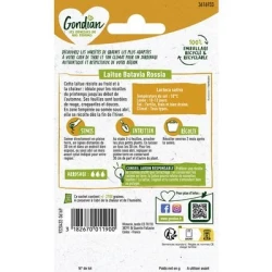 Laitue Batavia ROSSIA - GONDIAN