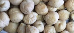 Pois chiche ELIXIR non traité