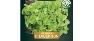 Laitue à couper QUERIDO - VILMORIN