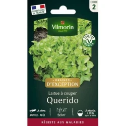 Laitue à couper QUERIDO - VILMORIN