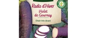 Radis Violet DE GOURNAY - VILMORIN