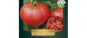 Tomate ronde AGORA HF1 - VILMORIN