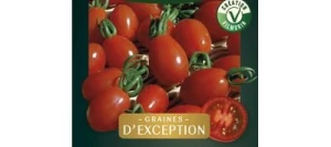 Tomate Cerise ALIGOTE HF1 - VILMORIN