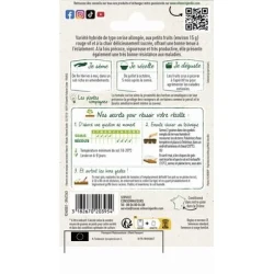 Tomate Cerise ALIGOTE HF1 - VILMORIN