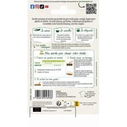 Tomate Côtelée ANANAS - VILMORIN