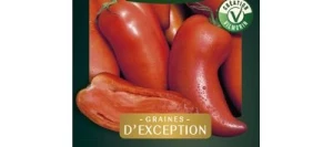 Tomate cornue CORNABEL HF1 - VILMORIN