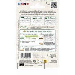 Conditionnement Tomate  GOURMANDIA HF1 - VILMORIN