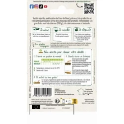 Tomate  GOURMANDIA HF1 - VILMORIN