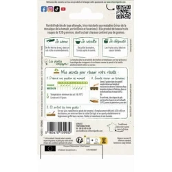 Tomate Allongée LANCLEOT HF1 - VILMORIN